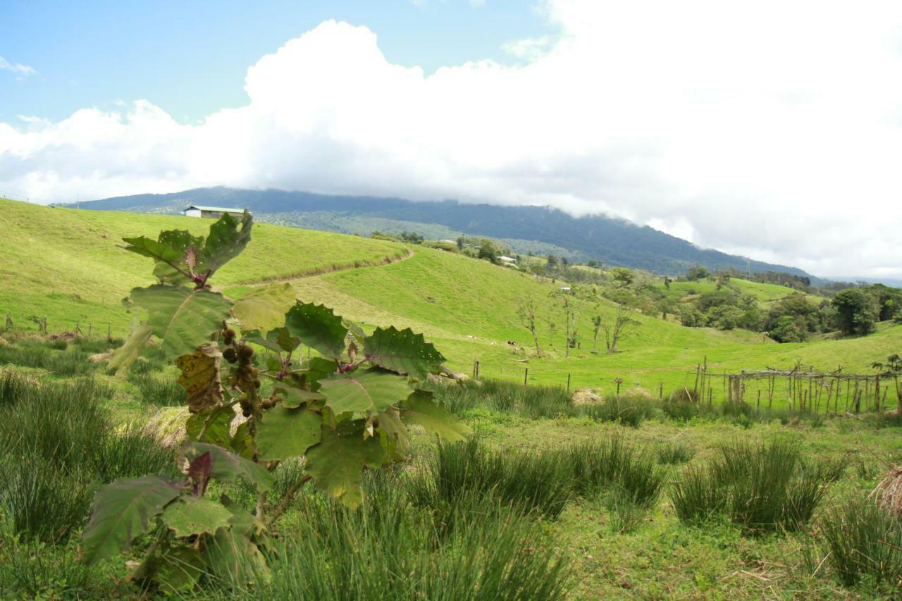 Casa Volcano Panoramic View Vara Blanca  Bagian luar foto